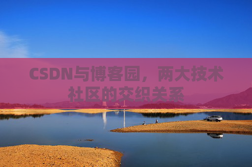 CSDN与博客园，两大技术社区的交织关系